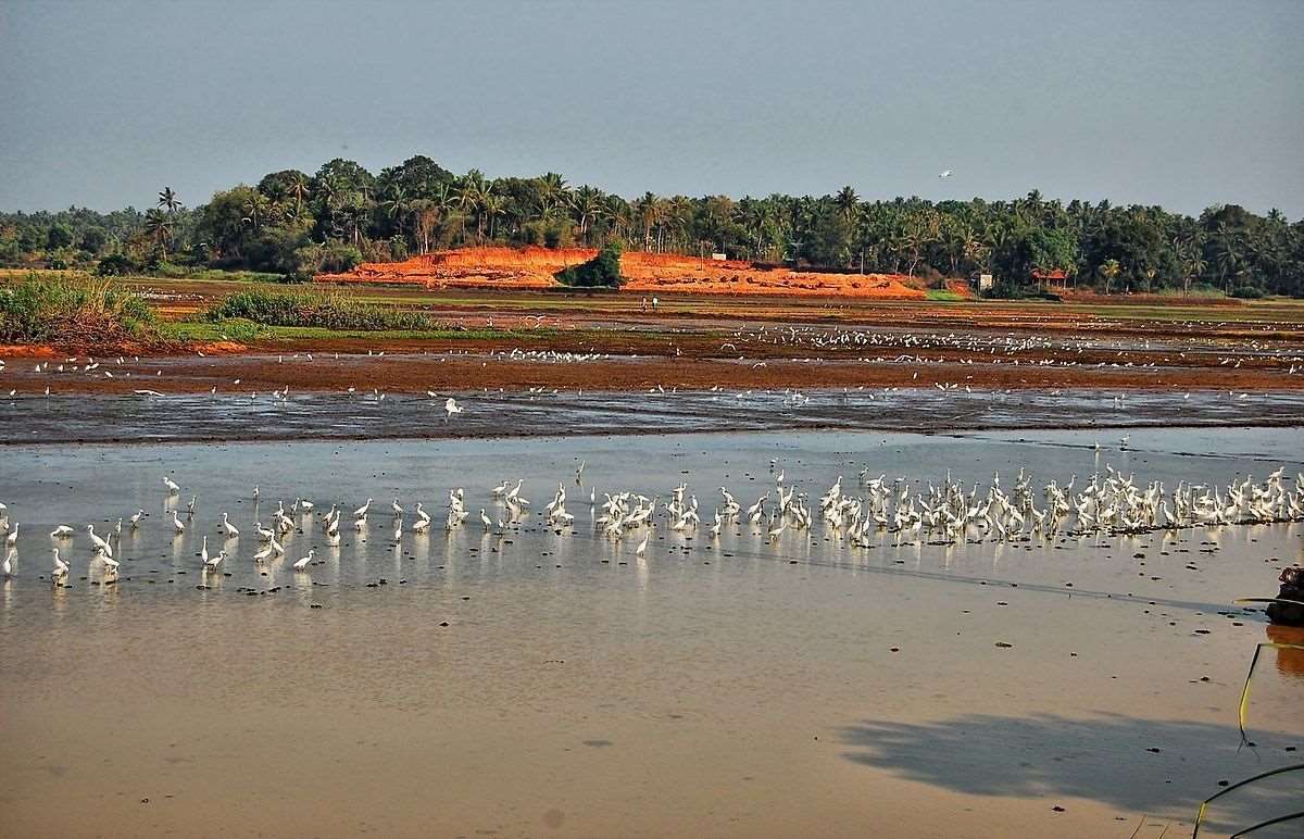 Places to Visit In Kerala