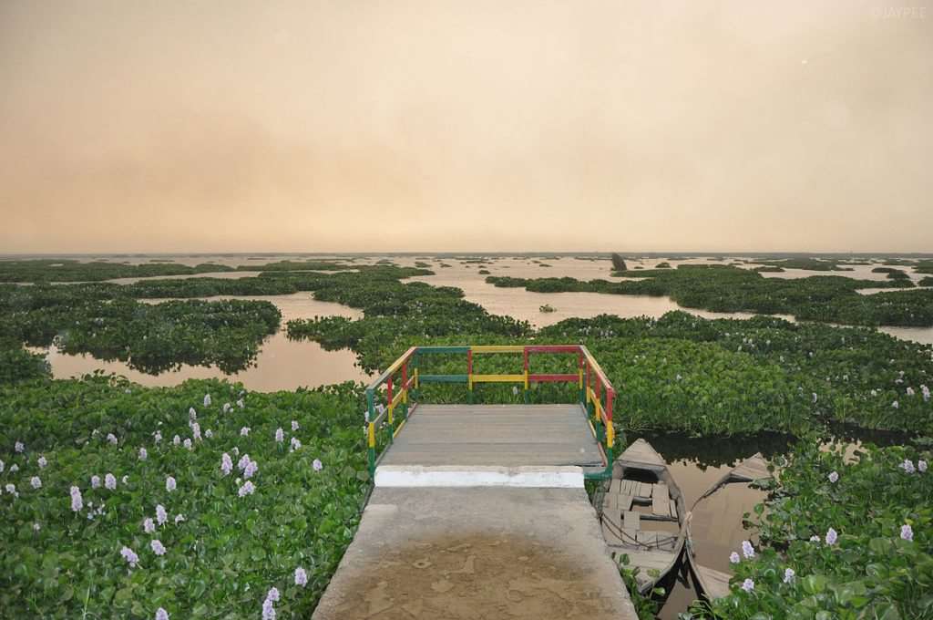 Harike wetland and bird sanctuary, Punjab