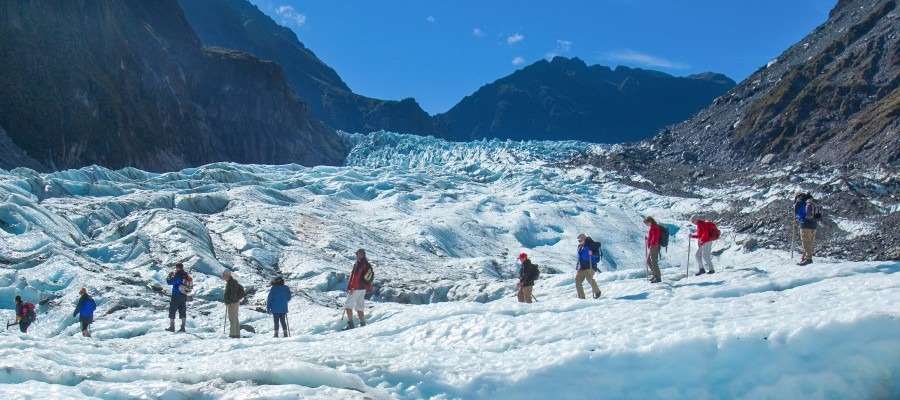 Fox Glacier - New Zealand