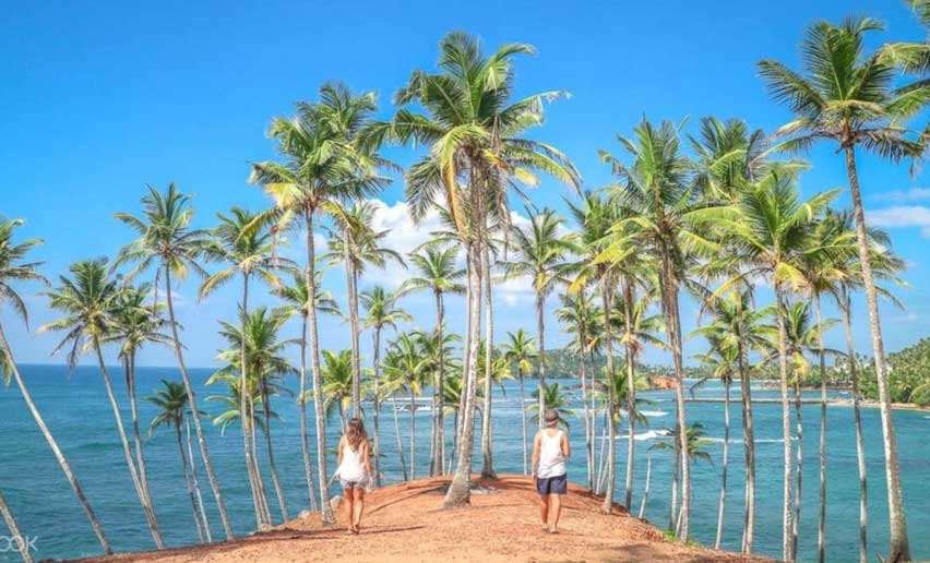 Mirissa Beach, Sri Lanka Via: klook.com