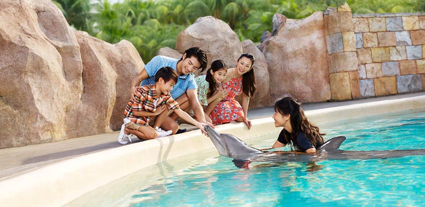 Dolphin Island, Sentosa in Singapore / Image Credits: Dolphin Islands