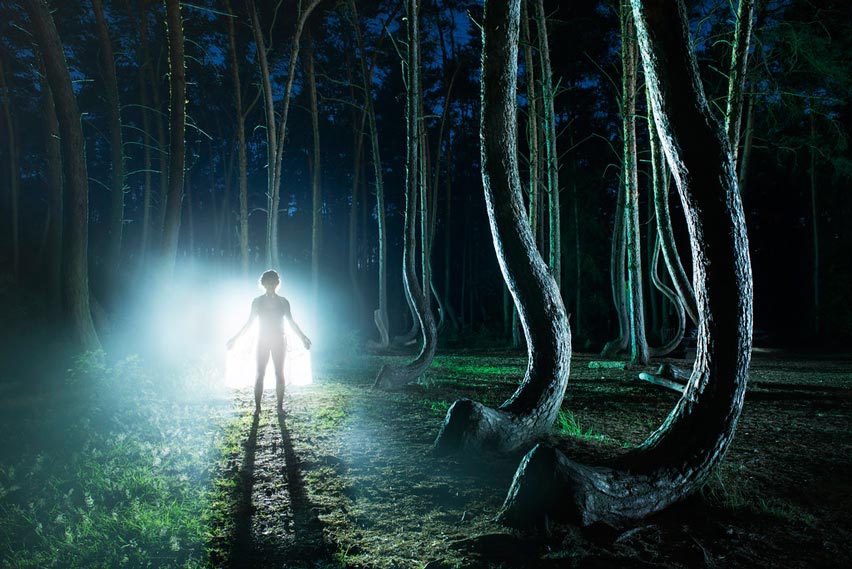 Theories Related Crooked Forest of Poland