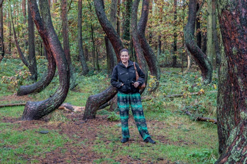 History Associated With Crooked Forest of Poland