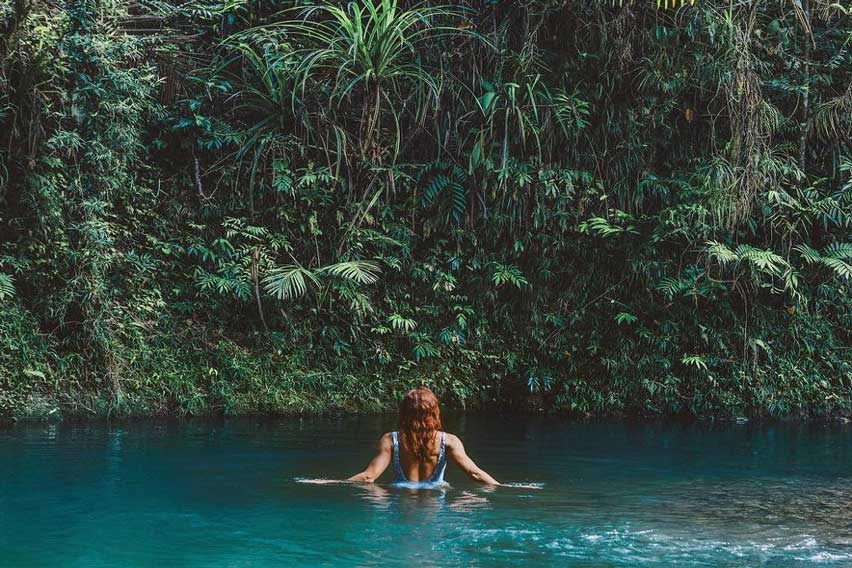 Daintree National Park - Queensland