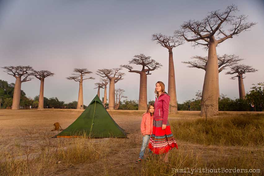 Avenue of the Baobabs