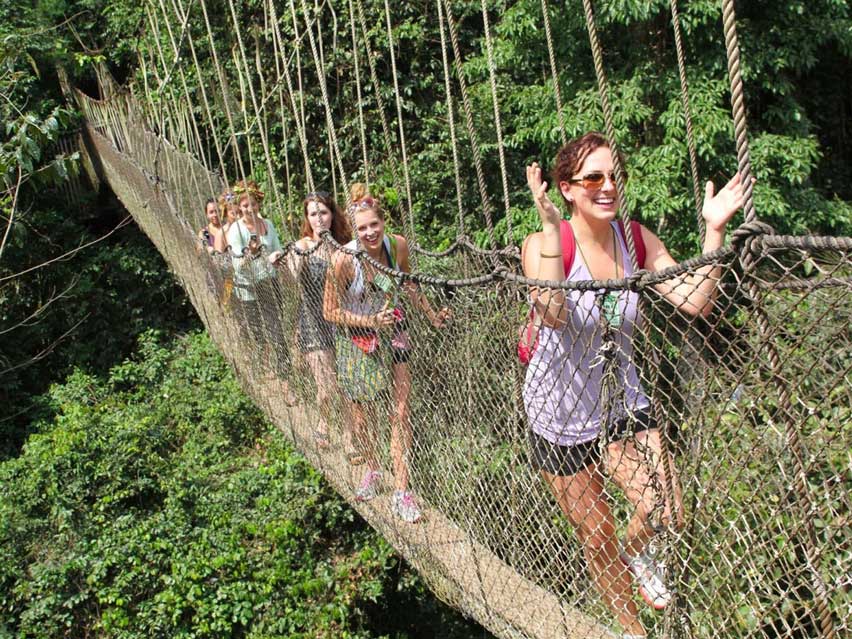 Canopy Walk, Ghana, Deadliest Bridges