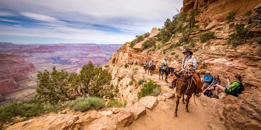 Mule Ride Grand Canyon