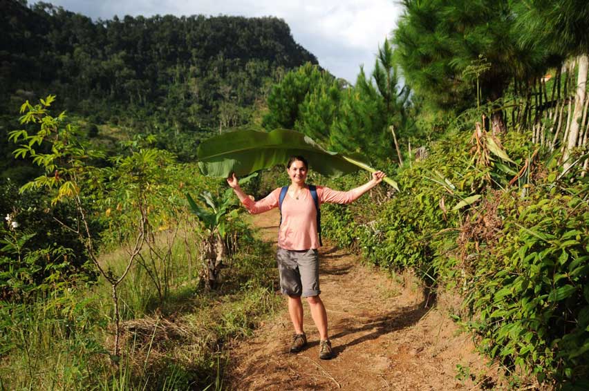 Ranomafana National Park, Madagascar