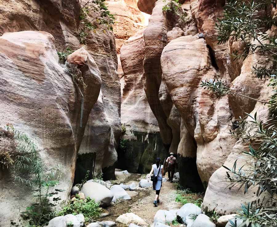 Dana Biosphere Reserve