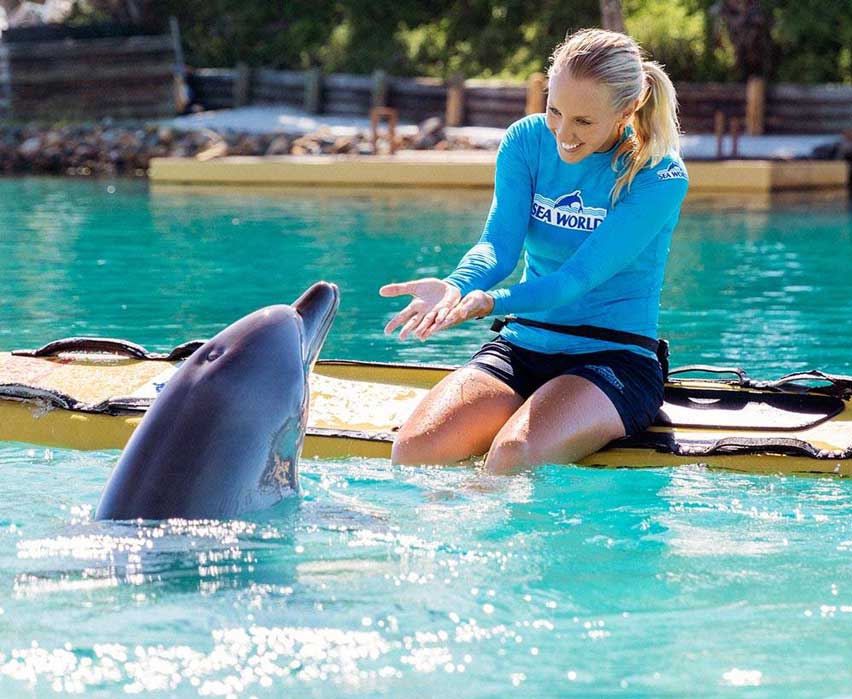 Sea World, Gold Coast