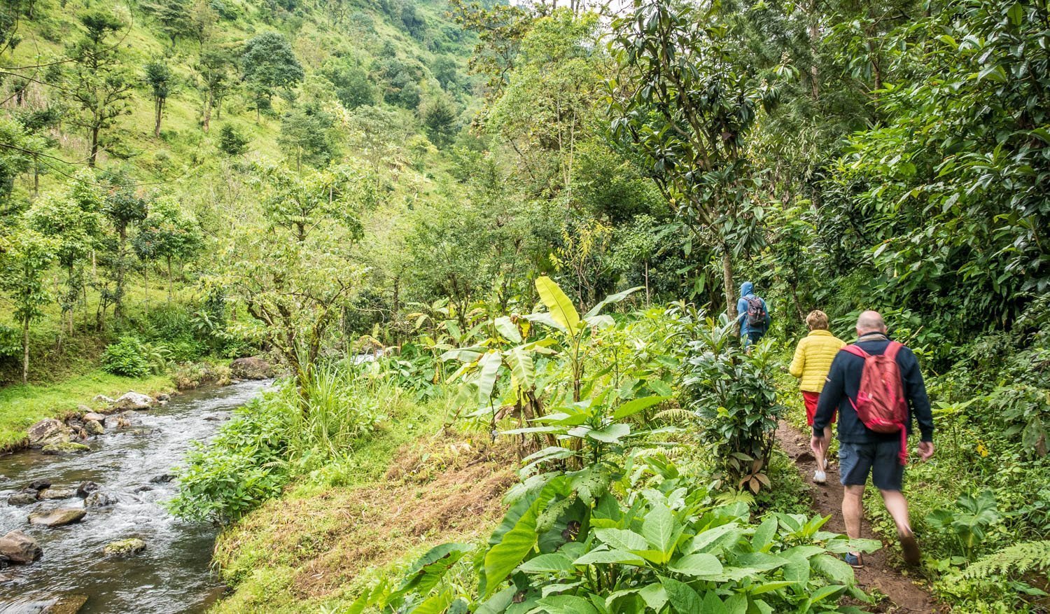 Materuni, Mount Kilimanjaro