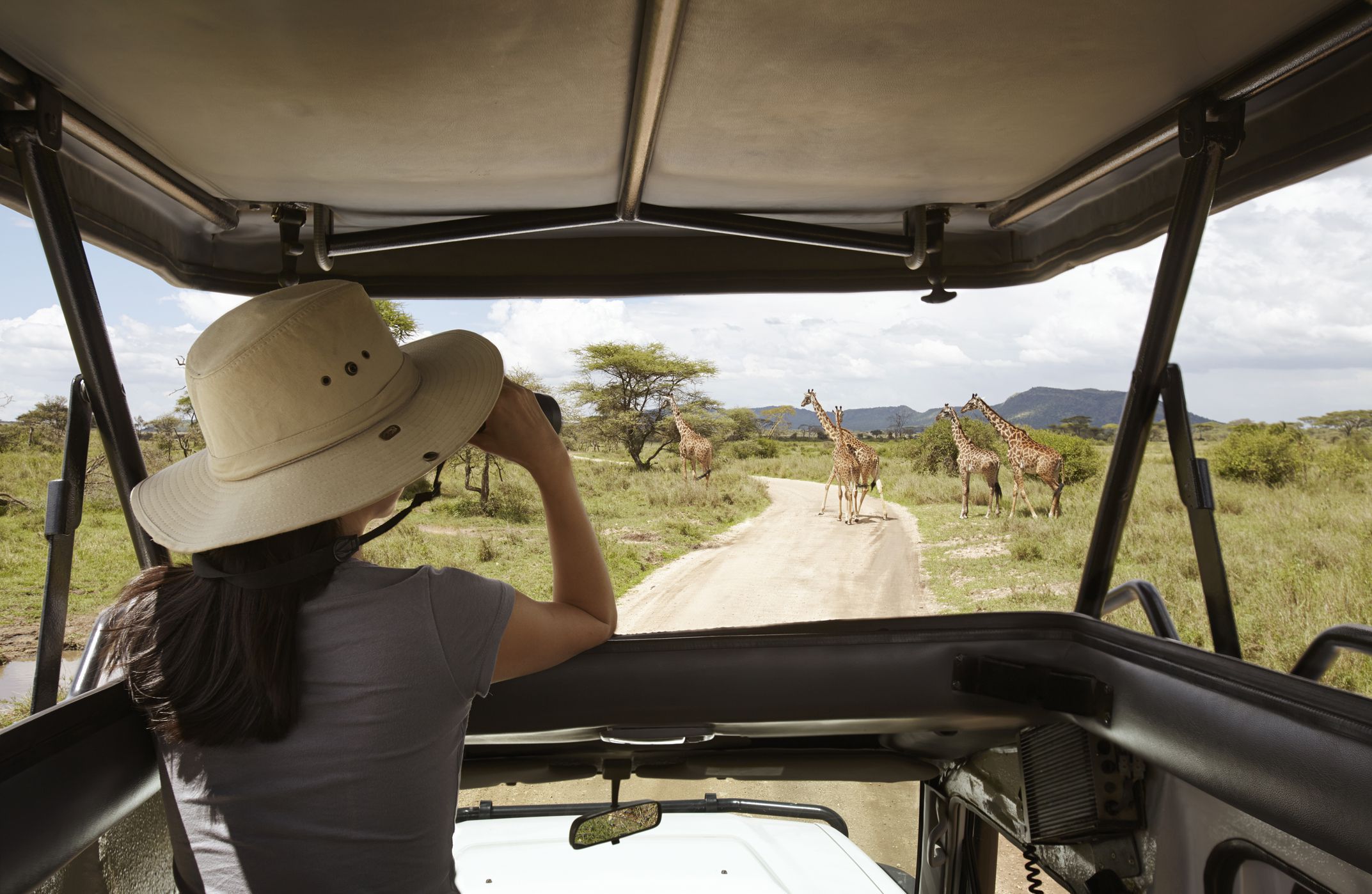 Safari Tour