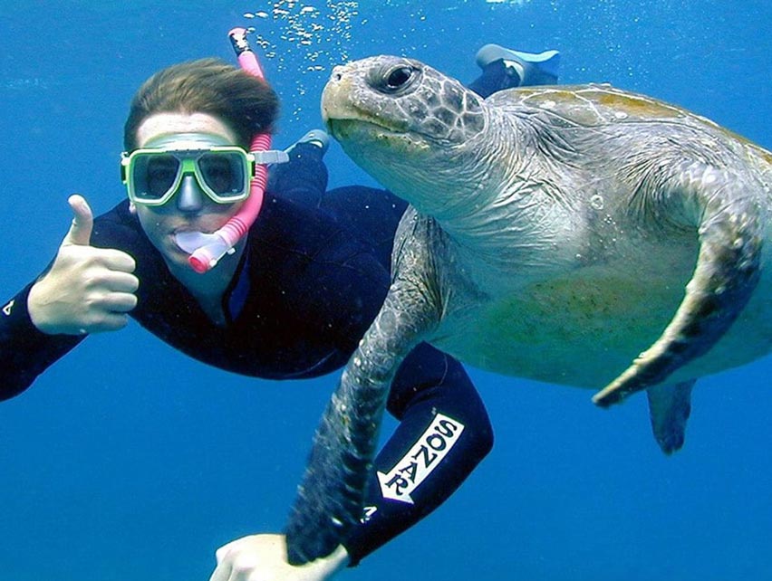 Scuba Diving Byron Bay