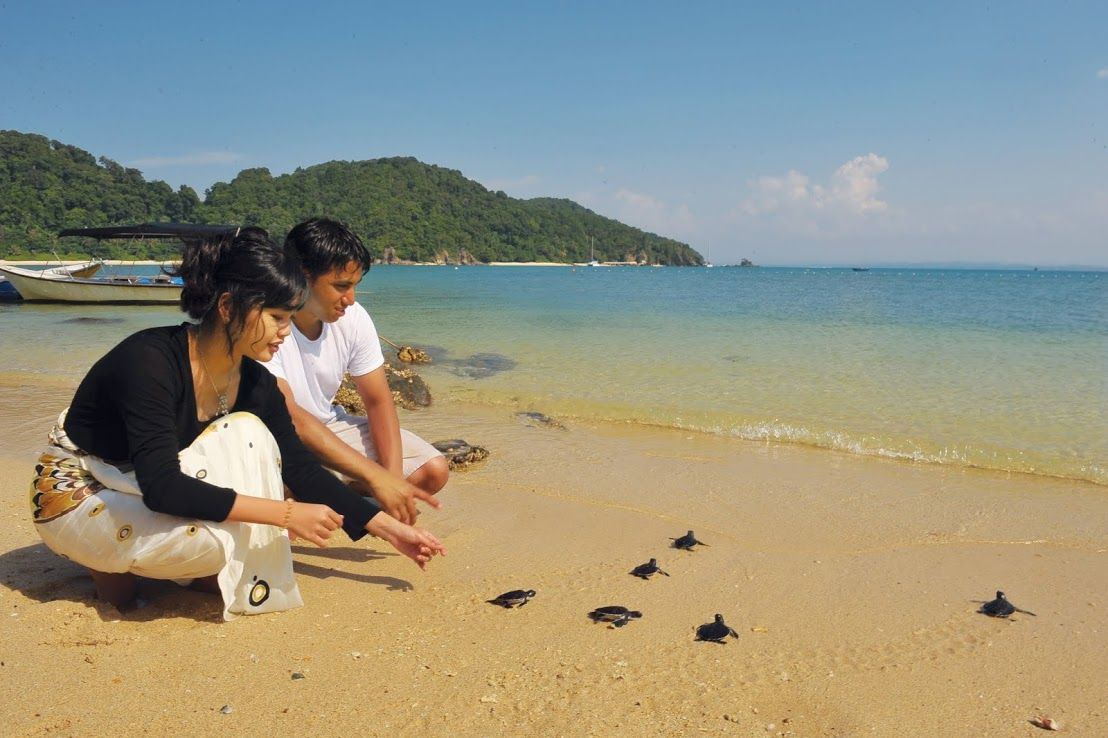 Turtle Beach Perhentin