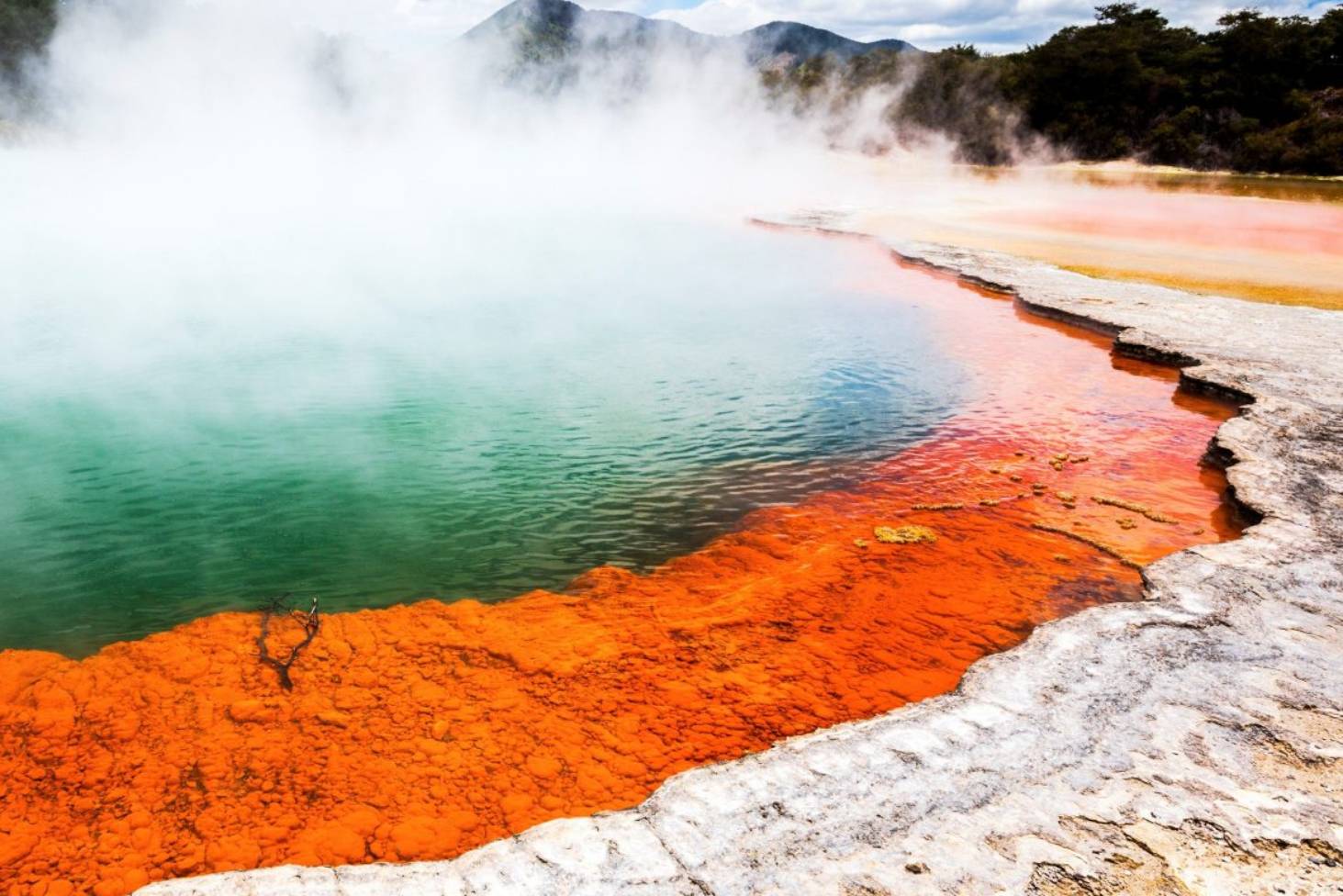 Wai-o-Tapu Thermal Wonderland, New Zealand