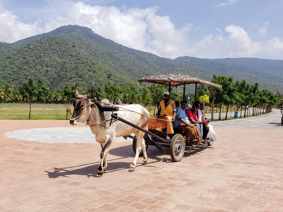 Adiyogi Shiva Statue