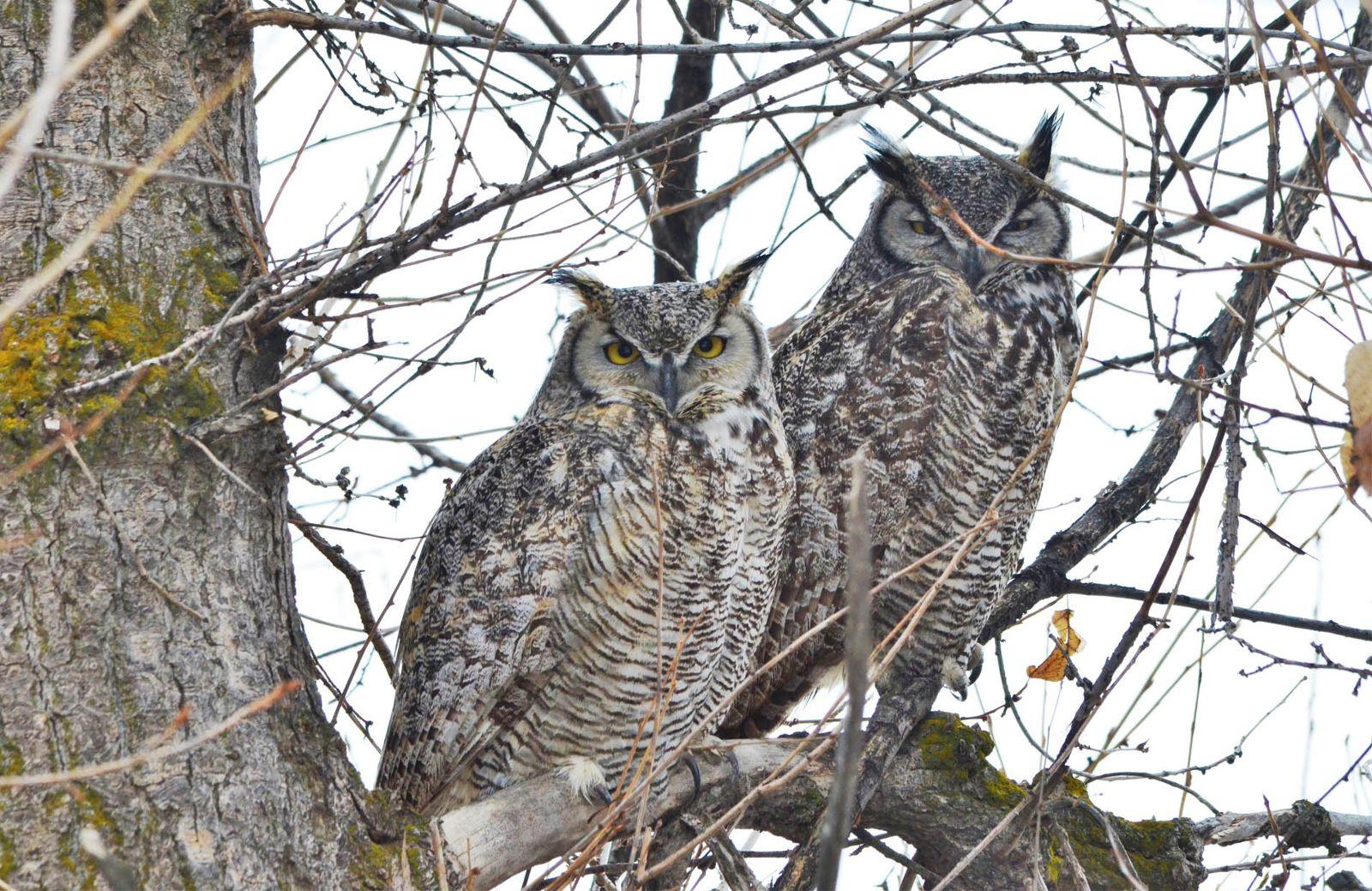 Idaho National Wildlife Refuge