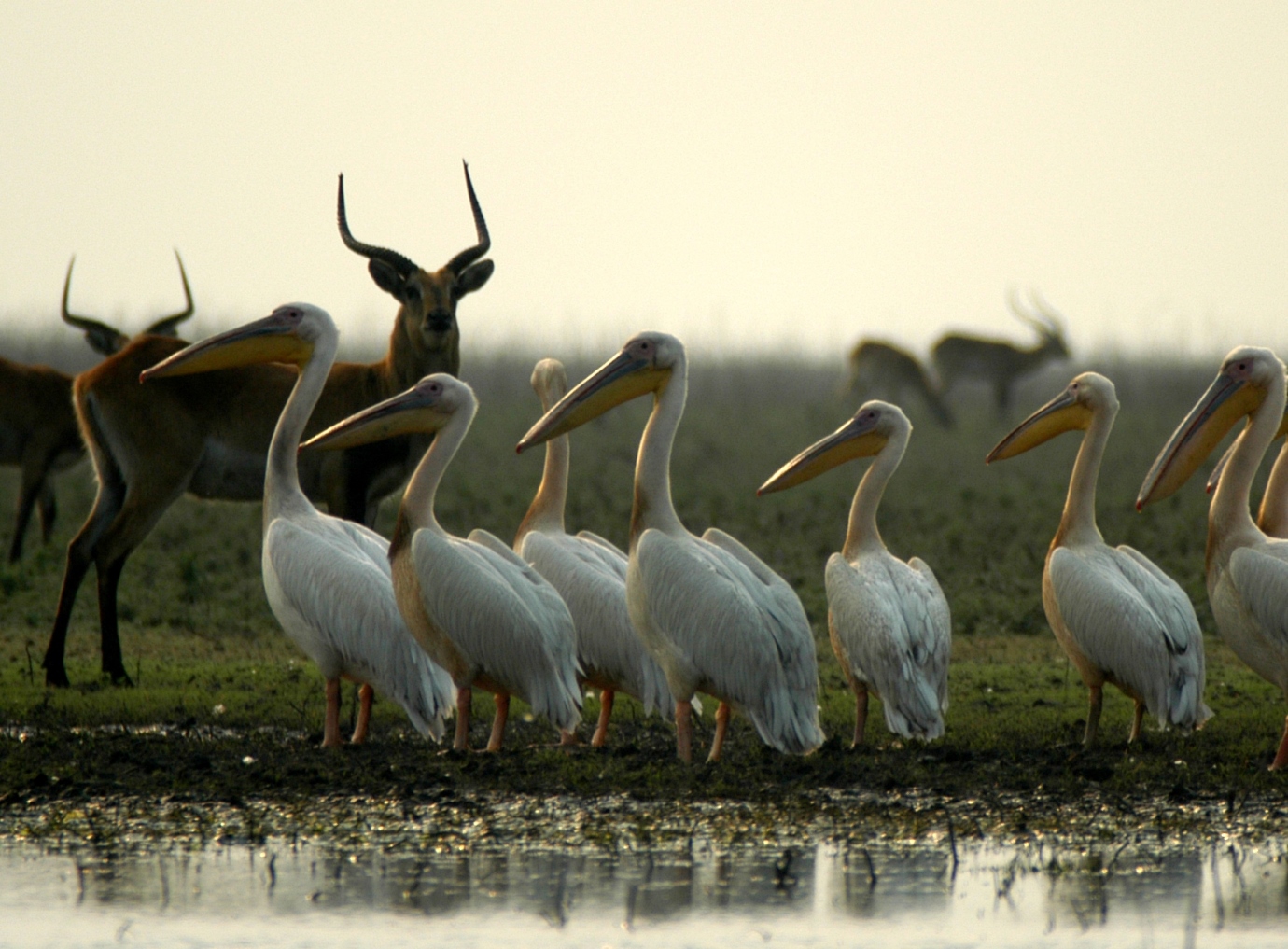 Lochivar national park
