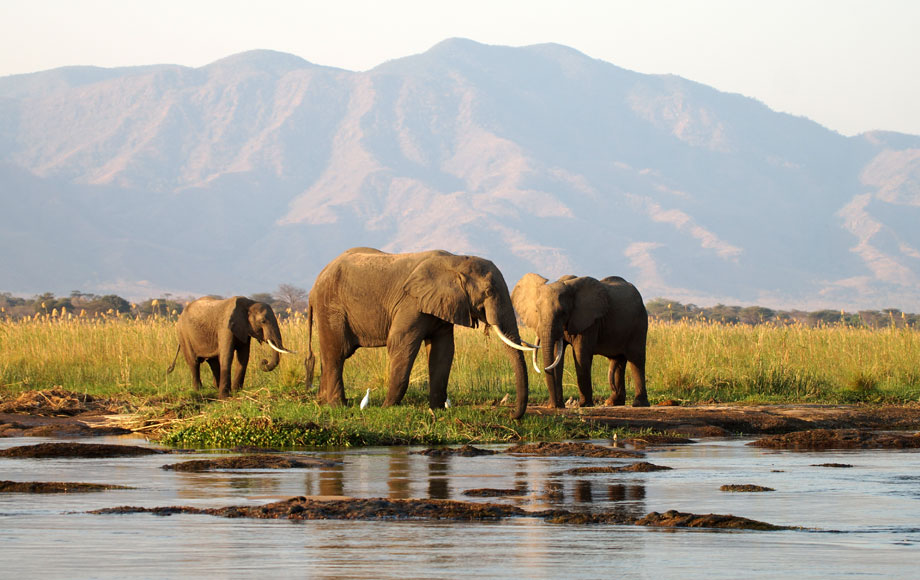 Mana Pools National Park