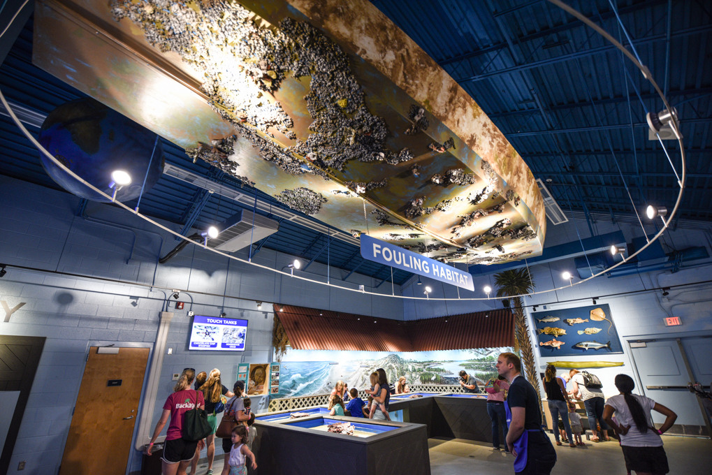 Science center Greenville