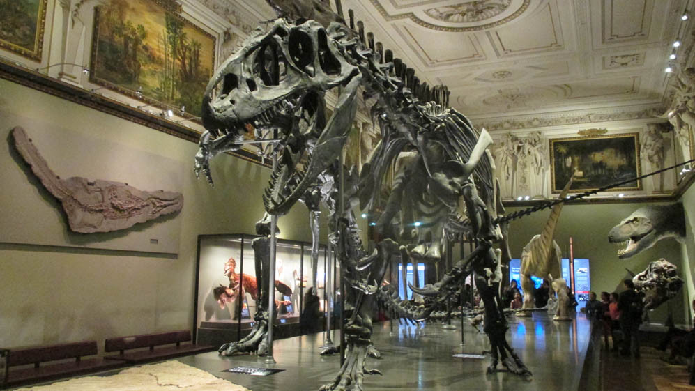 Natural History Museum Vienna