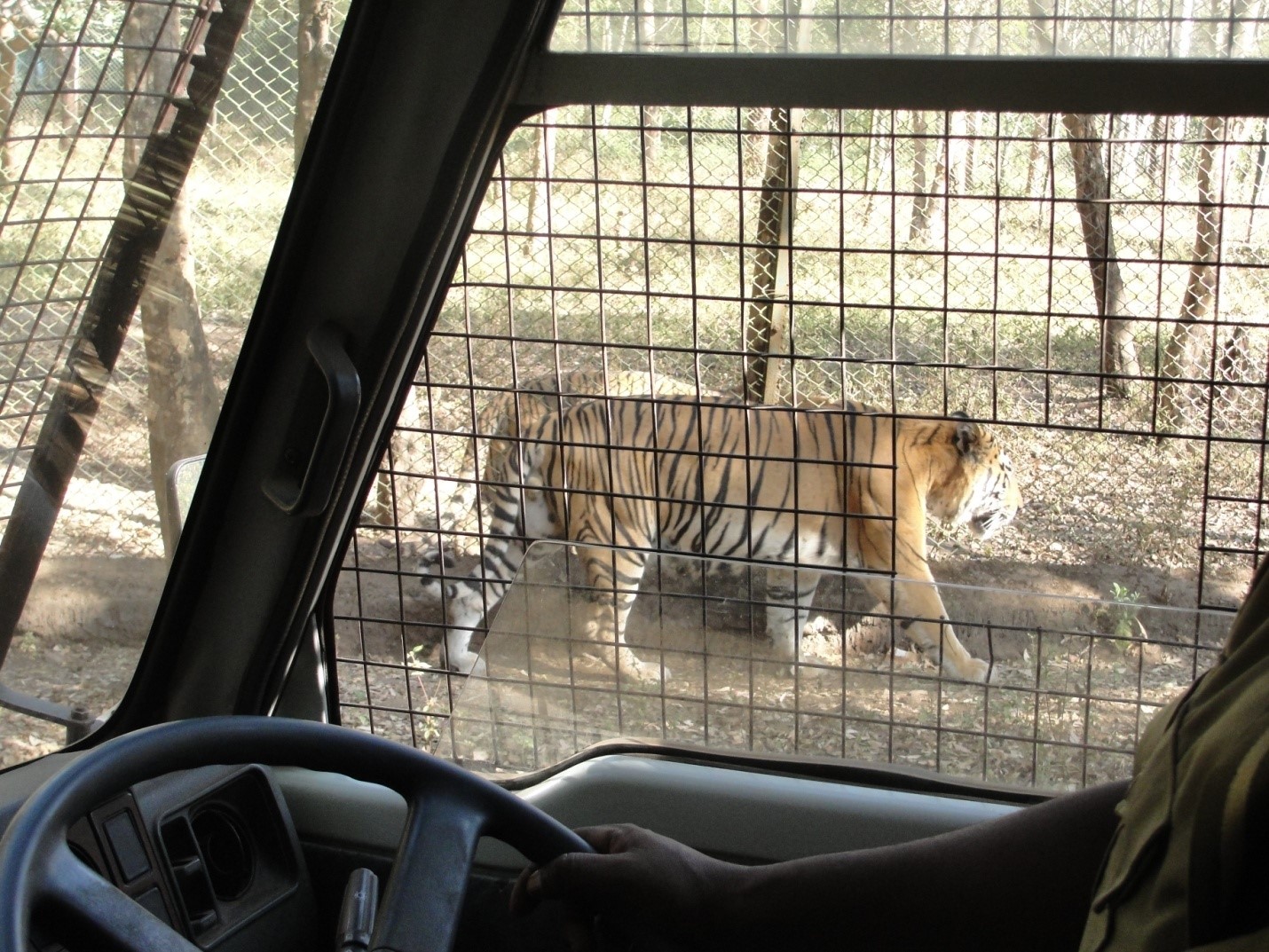 Shimoga Zoo and Safari
