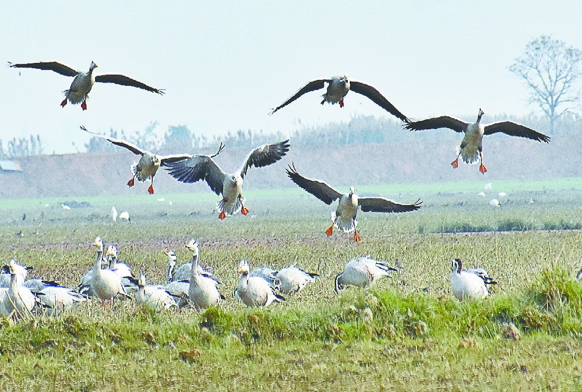 Neel dhara pakshi vihar