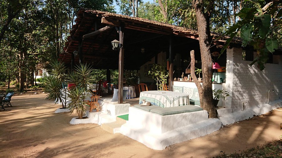 Kipling Camp, Madhya Pradesh