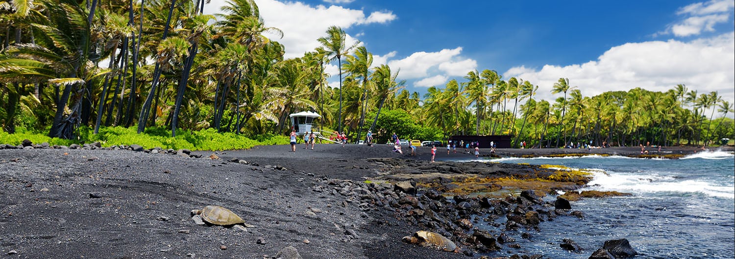 Punaluu Black Sand Beach