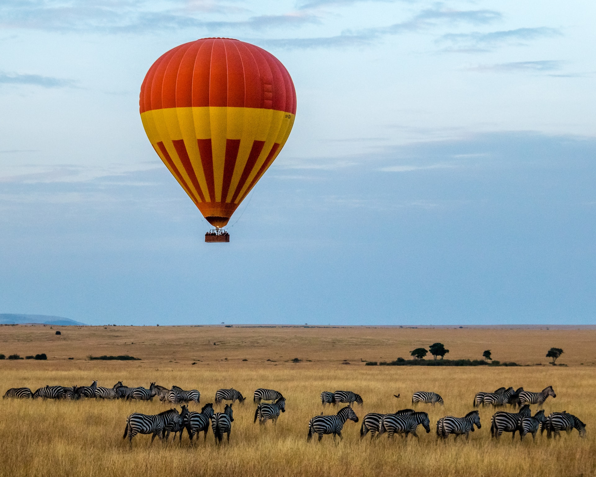 Serengeti Tanzania