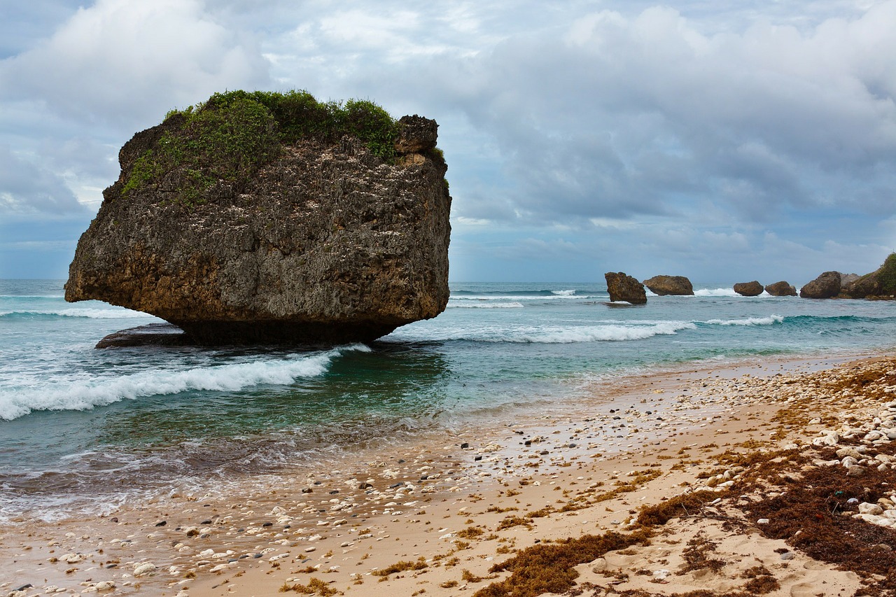 vSnap Pictures at Bathsheba Bay