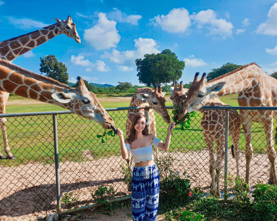 Calauit Wildlife Sanctuary /