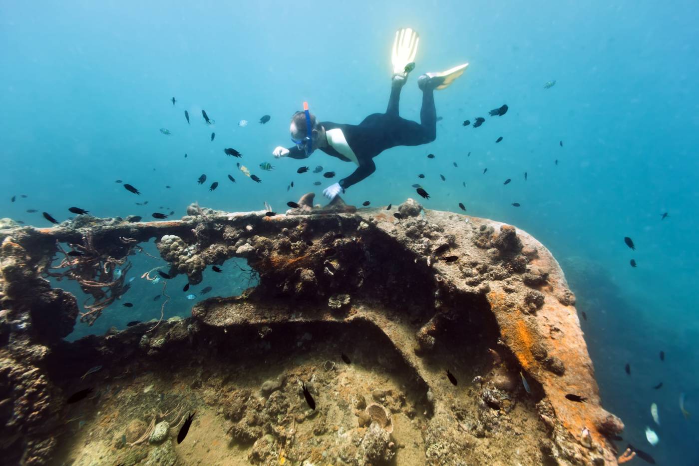 shipwrecks inside coron bay