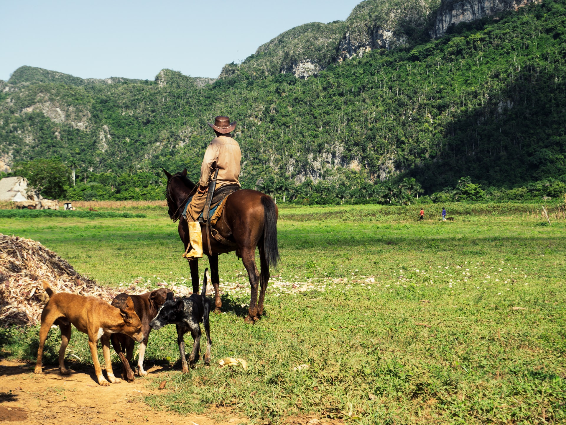 Vinales, Cuba 