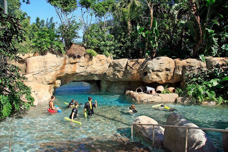 Discovery Cove
