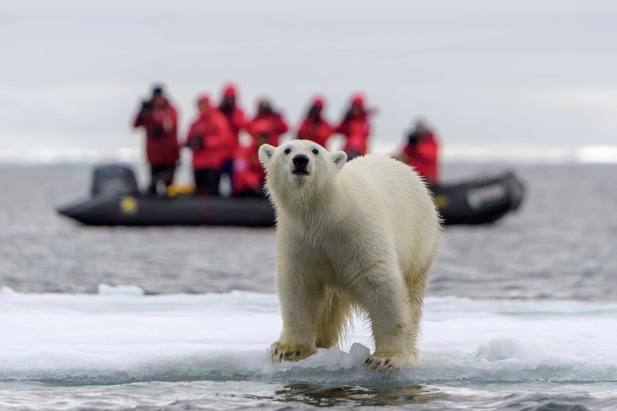 Cruise to Franz Josef Land