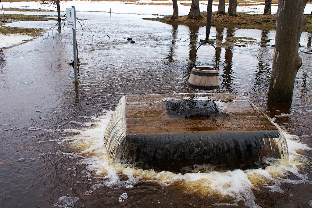 Spirit of Halloween, The Well of witch