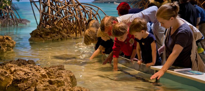 The New England Aquarium