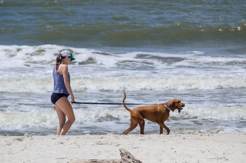 Dauphin Island Park and Beach