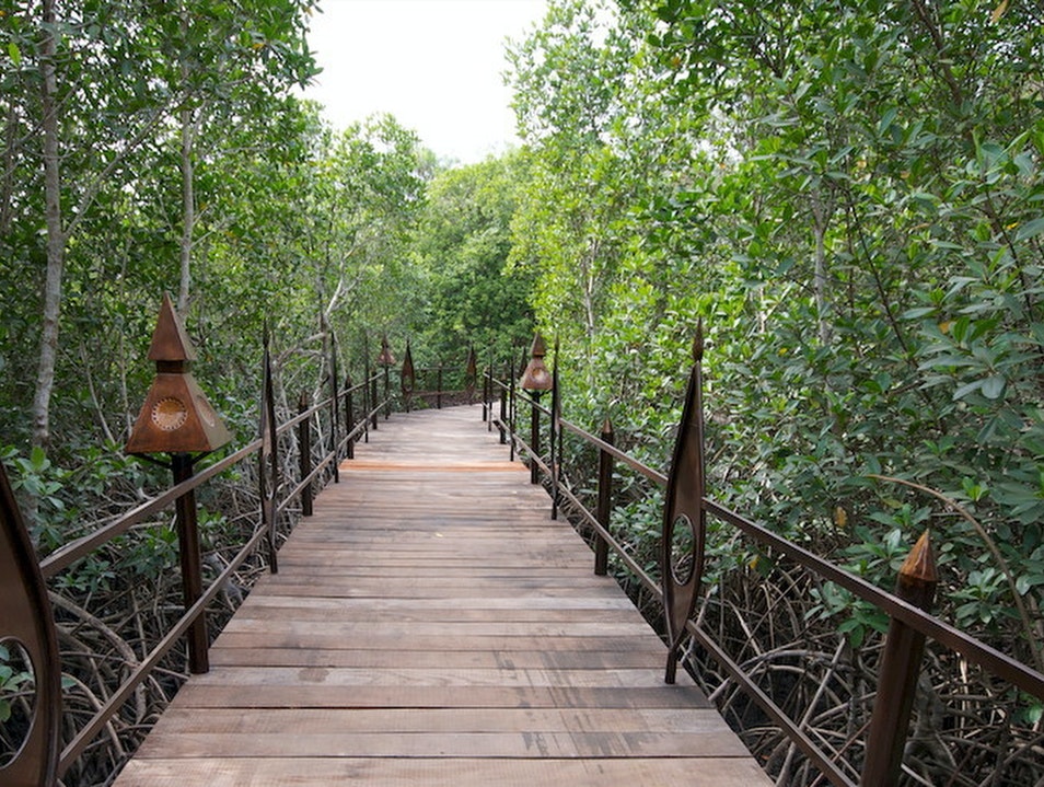 Abuko Nature Reserve