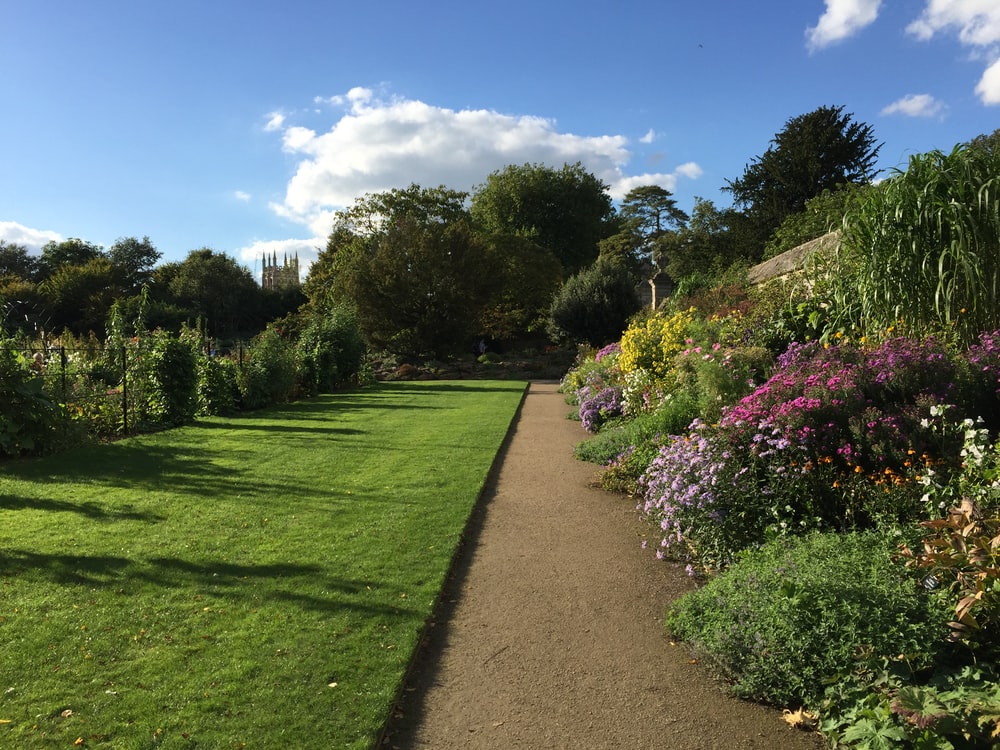 Botanical Garden of Conakry