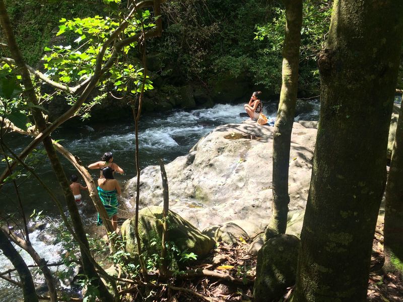 Iao Valley State Park Running Trail