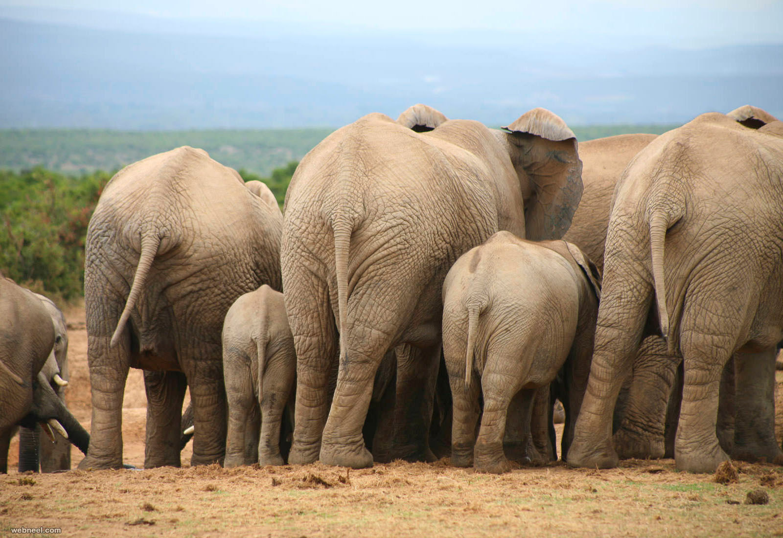 Vacation in Mozambique Cover