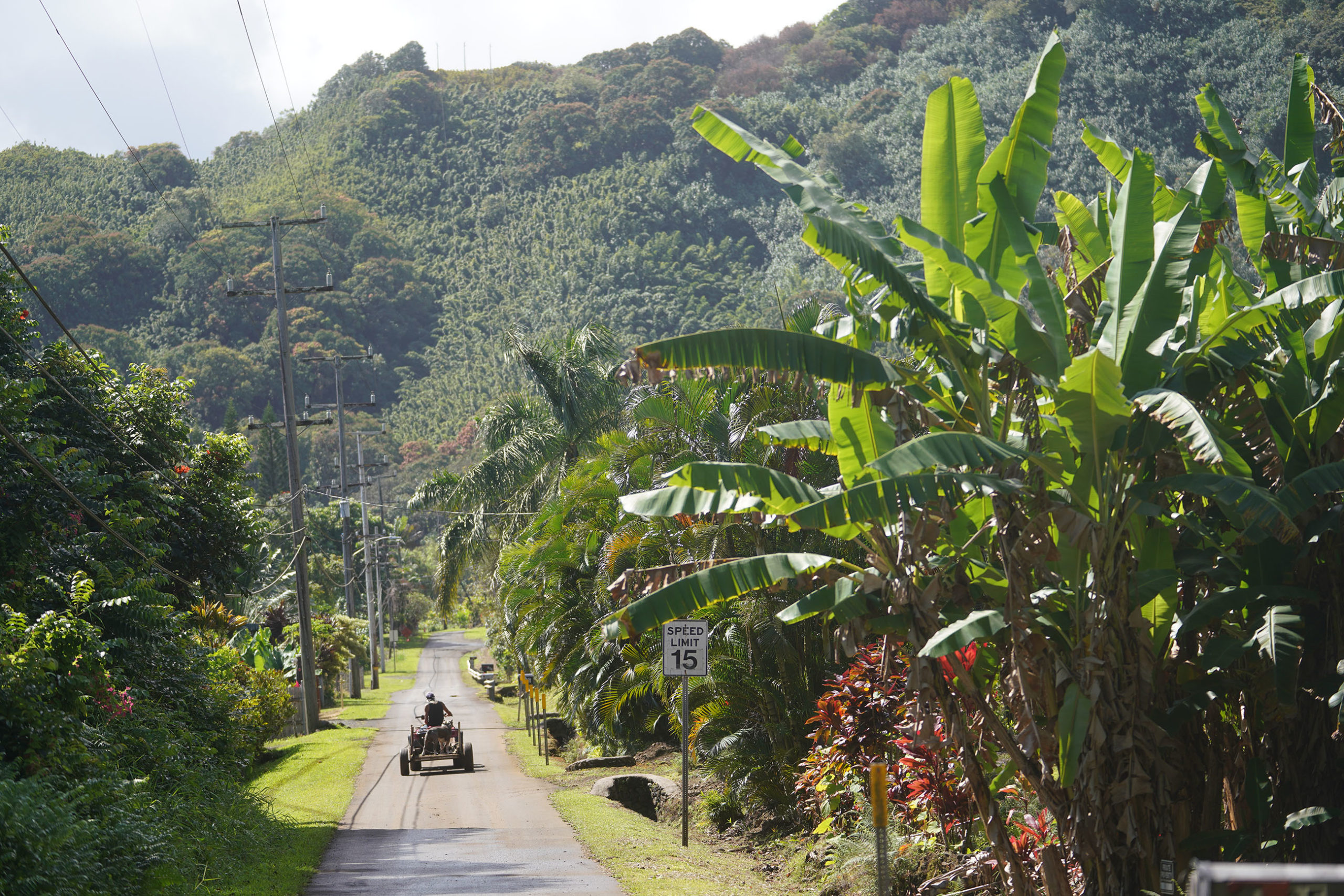 Wailua Road in Hana Maui water