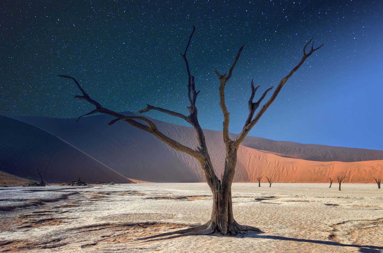 Deadvlei Namibia