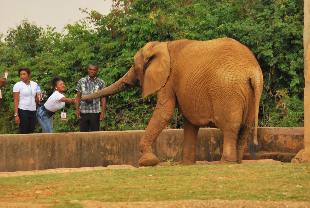 Jos Wildlife Park, Jos