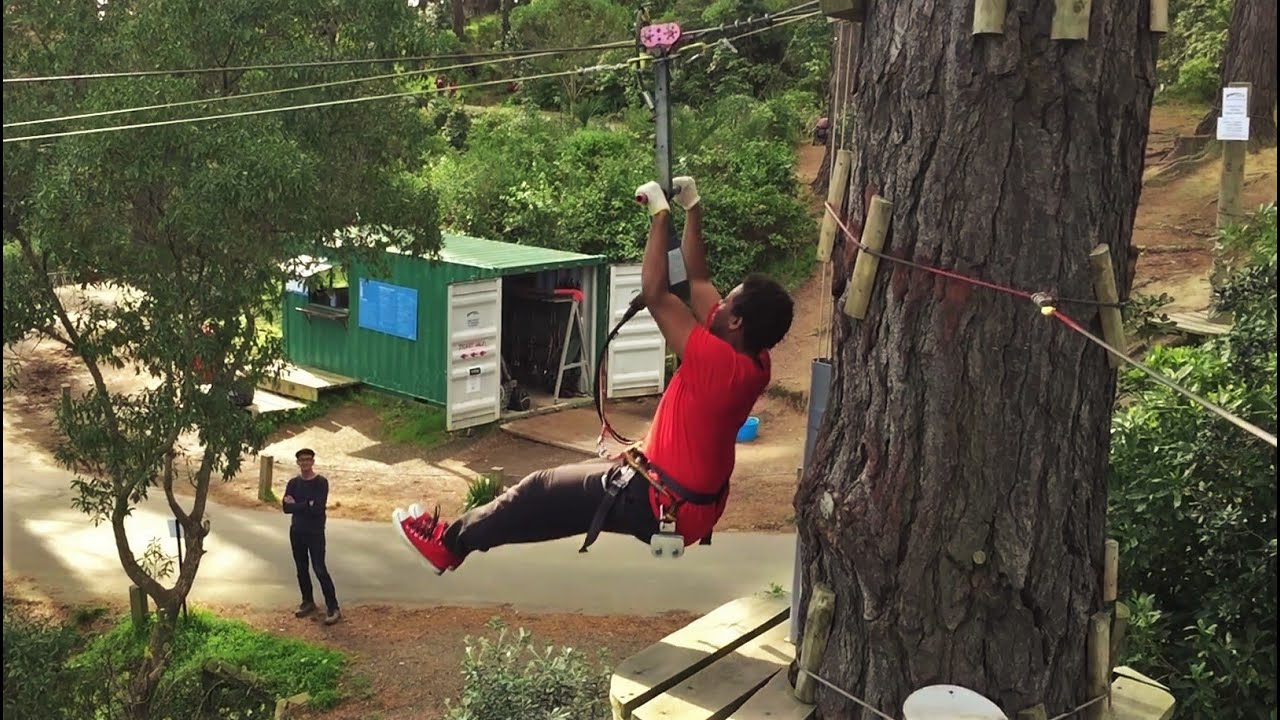 Adrenaline Forest Wellington