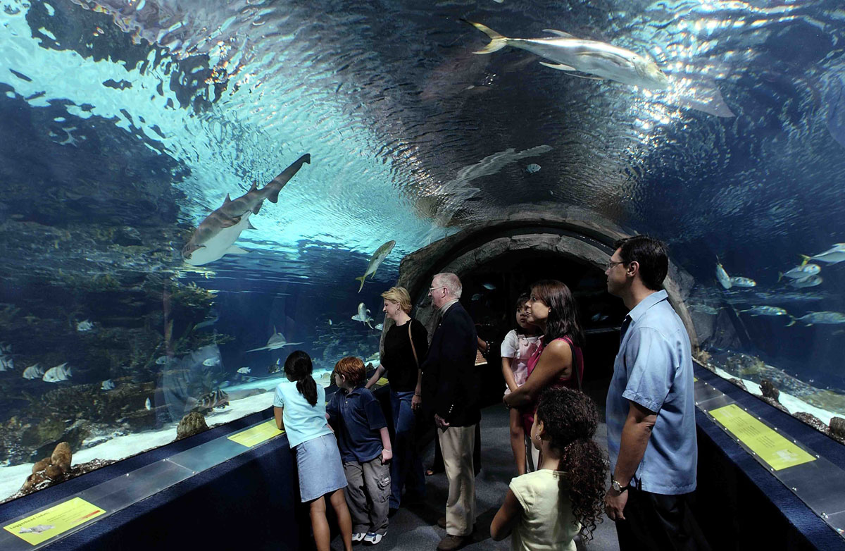 Atlantic City Aquarium