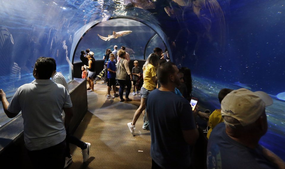 Oklahoma Aquarium