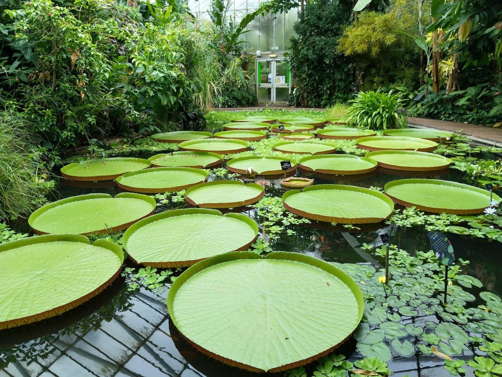 Exploring Edinburgh Cover